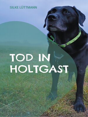 cover image of Tod in Holtgast